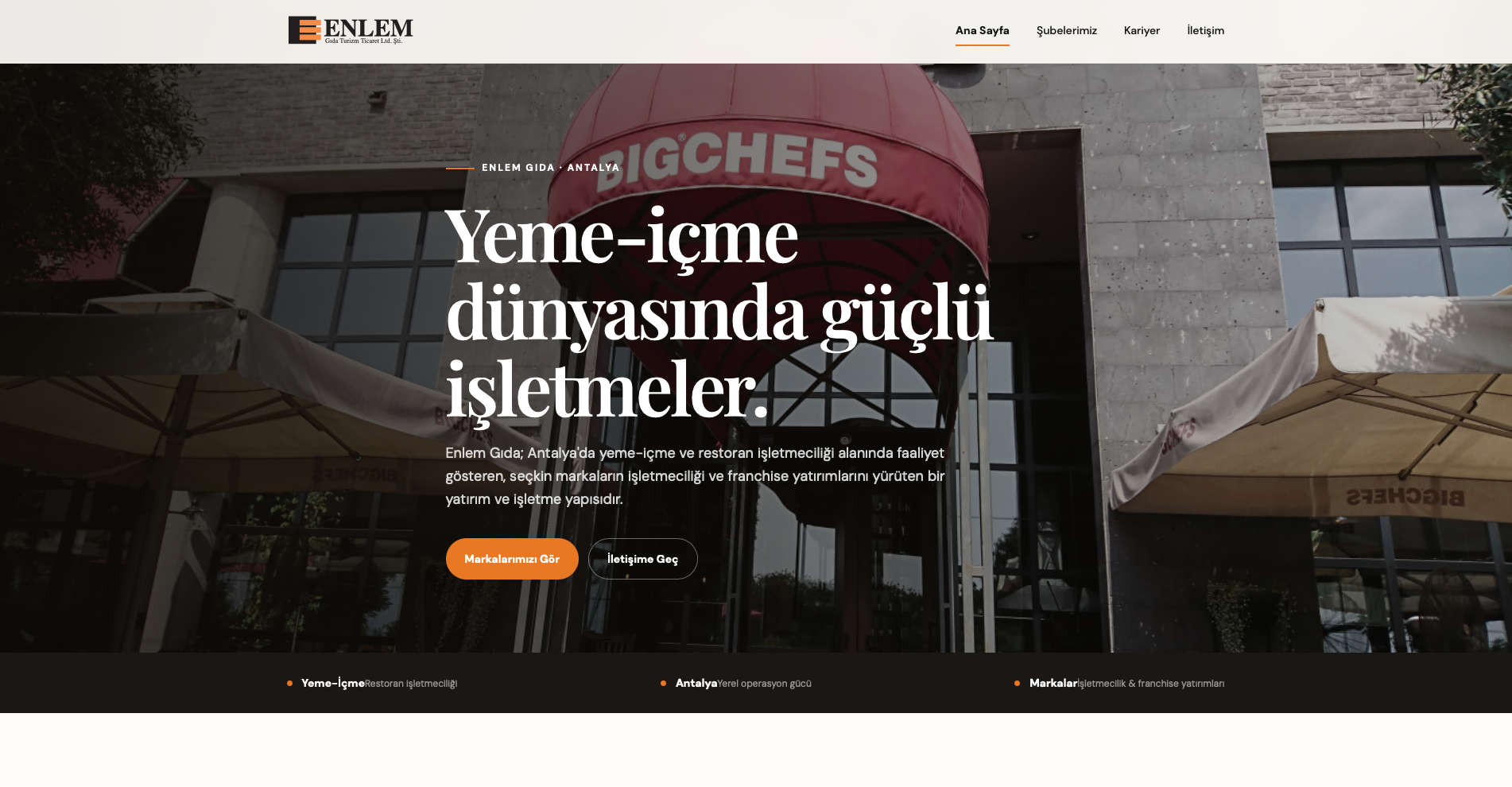 Enlem Gıda web sitesi önizlemesi