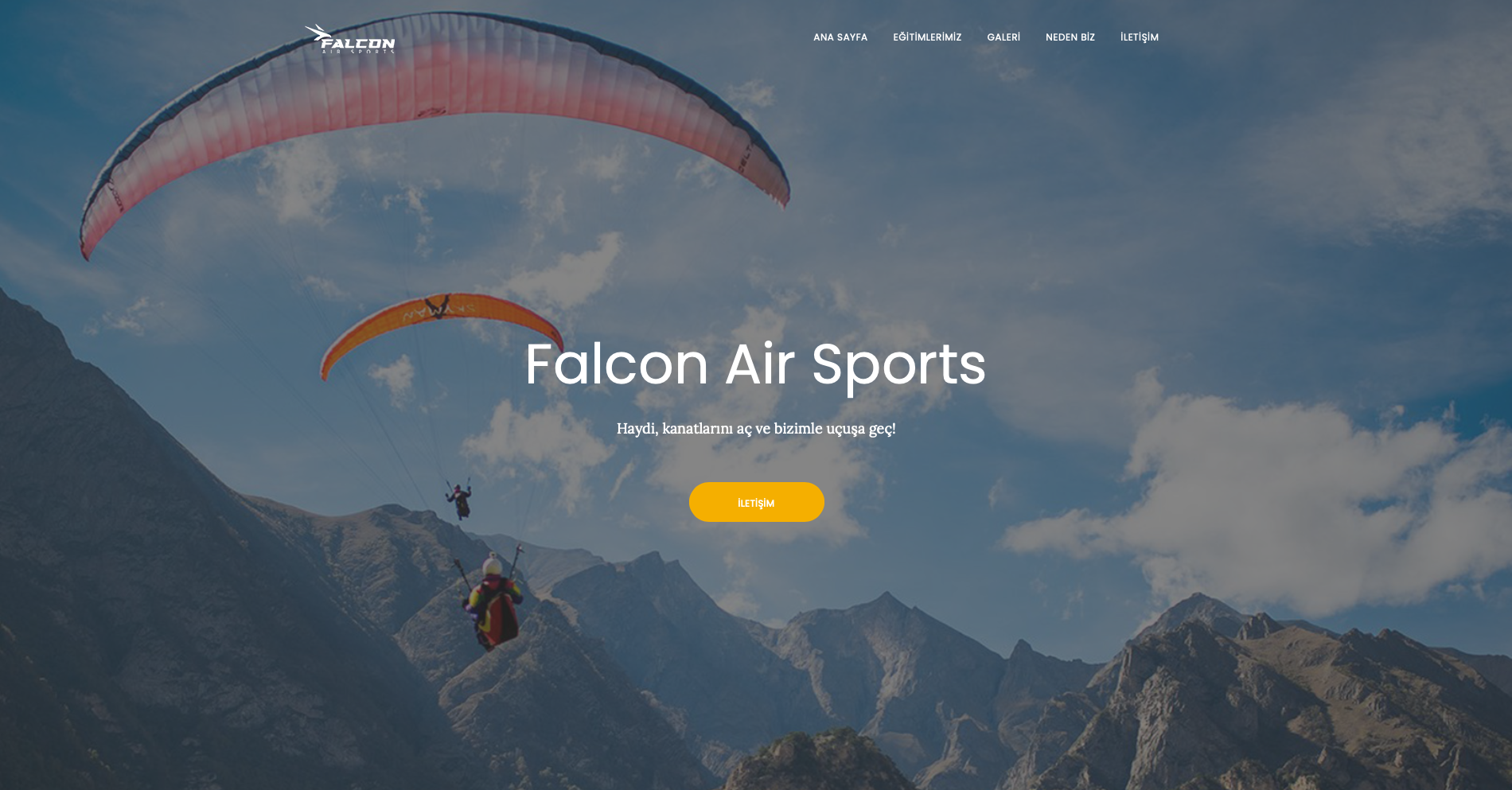 Falcon Air Sports web sitesi önizlemesi