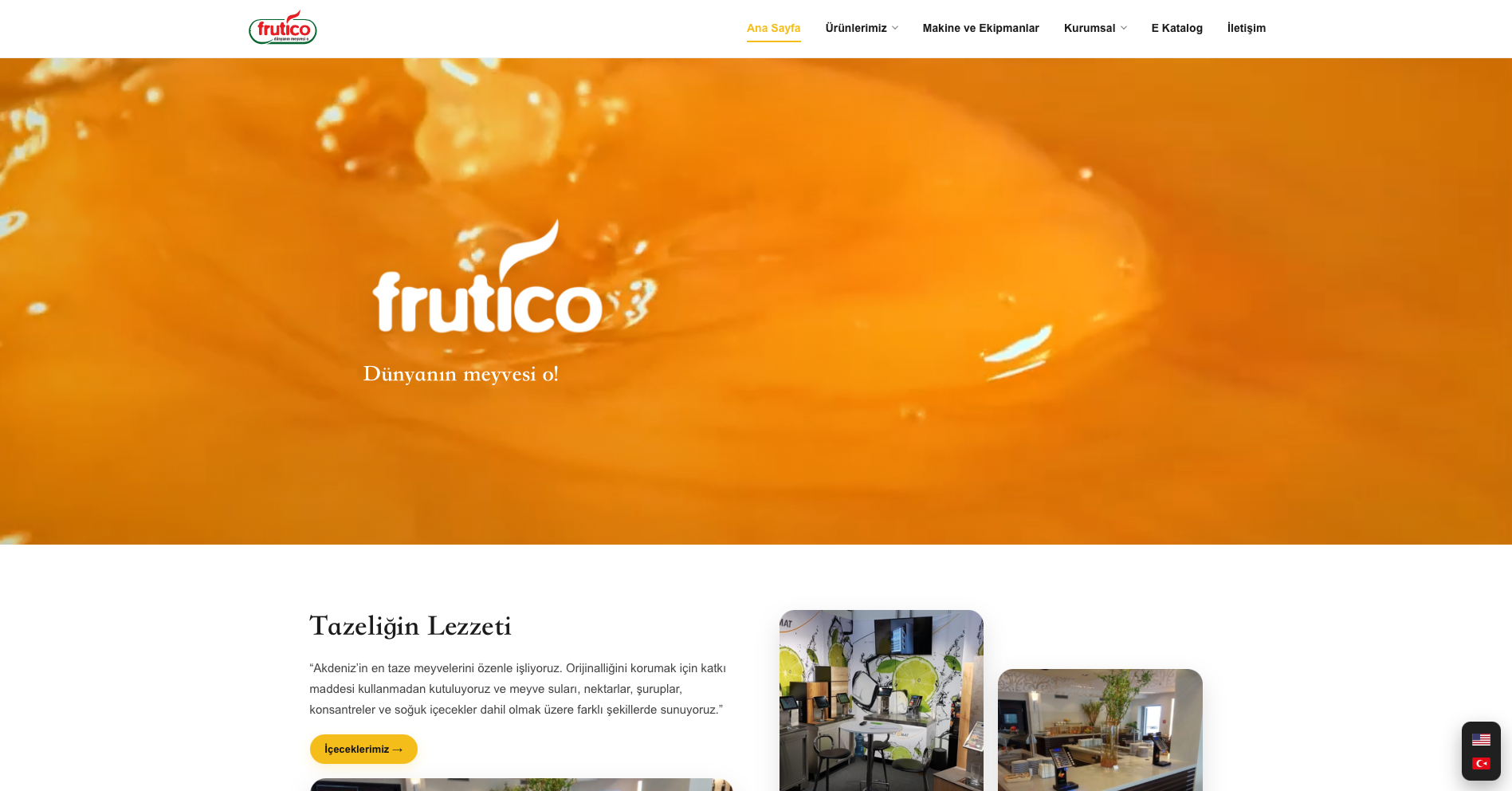 Frutico web sitesi önizlemesi